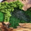 Verdant Circle Moss & Wood Wall Art