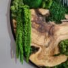 Verdant Circle Moss & Wood Wall Art