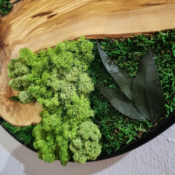 Verdant Circle Moss & Wood Wall Art