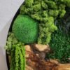 Verdant Circle Moss & Wood Wall Art
