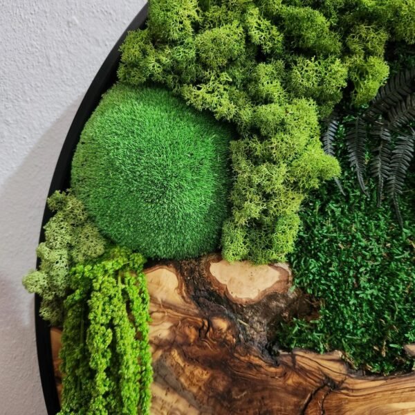 Verdant Circle Moss & Wood Wall Art