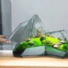 Havenfield “Green Peaks” Terrarium